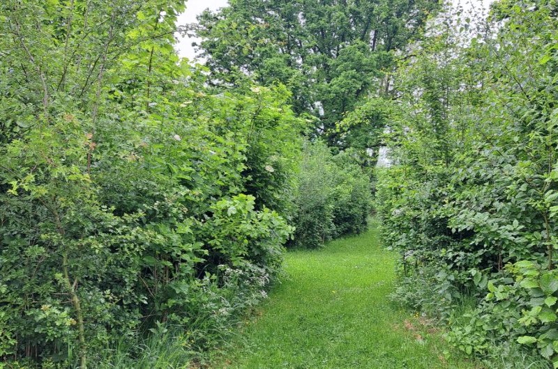 jardin écologique Mont-Saint-Aubert 2