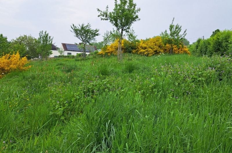 jardin écologique Mont-Saint-Aubert 3