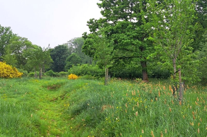 jardin écologique Mont-Saint-Aubert 4