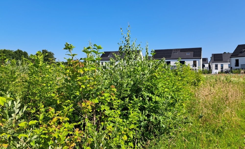 Urban-Forest-Avant-Apres-Microforet-Frasnes-lez-Gosselies2