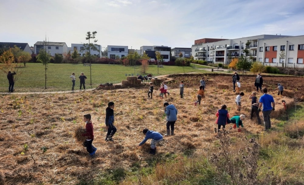 Urban-Forest-Avant-Apres-Microforet-Marly1