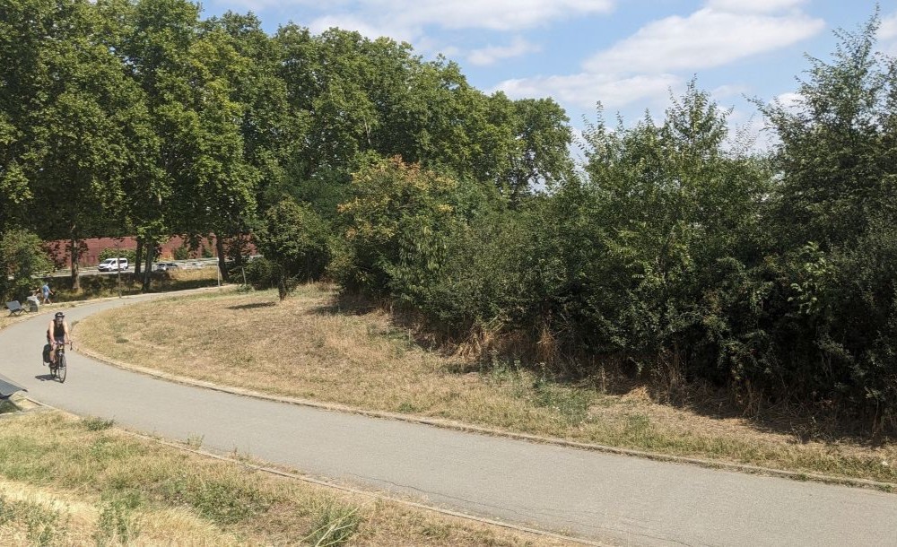 Urban-Forest-Avant-Apres-Microforet-Toulouse2