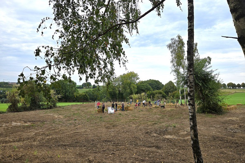 Havre de paix jardin écologique 10