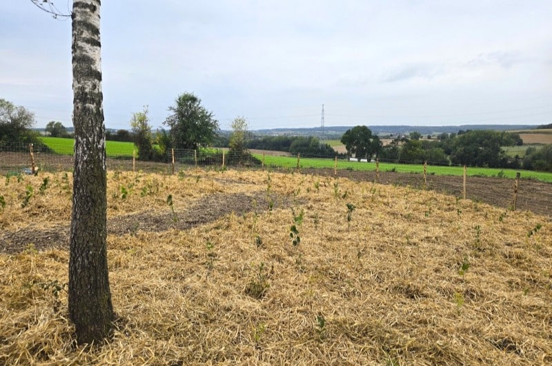 Havre de paix jardin écologique 2