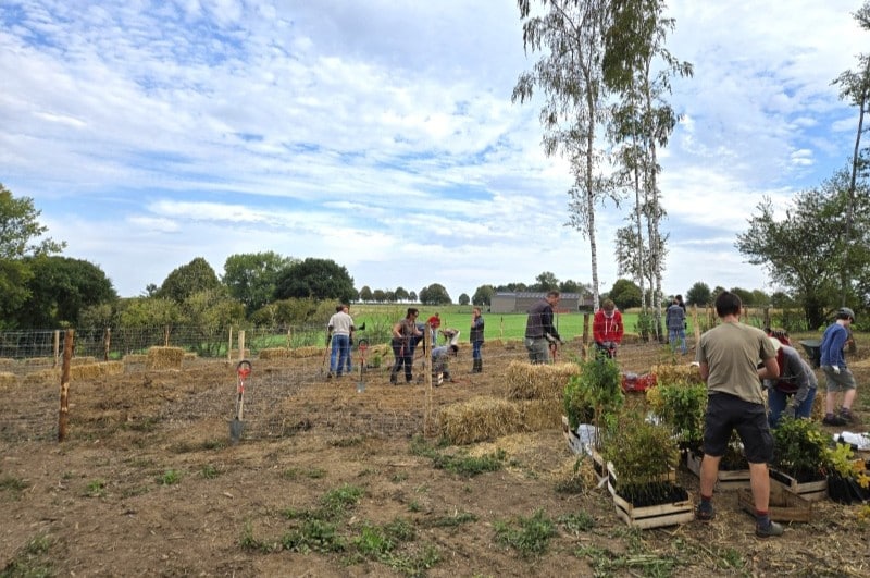 Havre de paix jardin écologique 5