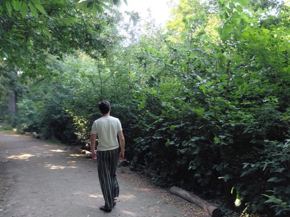 microforet miyawaki Urban Forests - 3